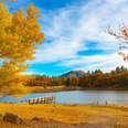 fall foliage by a mountainside lake