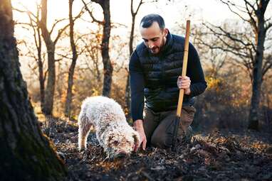 Truffle experience Rome