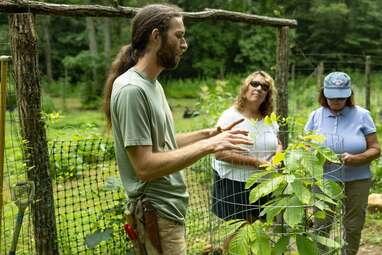 Useful Plants Hike - Herb Walk