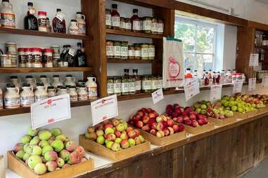 Dowse Orchards