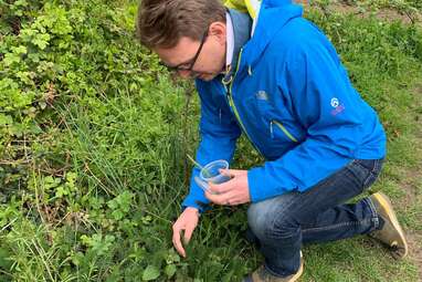 Foraging walk for beginners