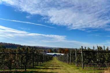 Grim's Orchard & Family Farms