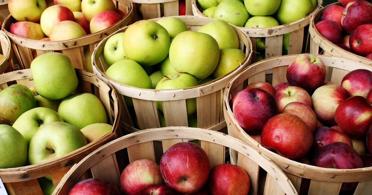 When are Honeycrisp Apples in Season? - Eat Like No One Else