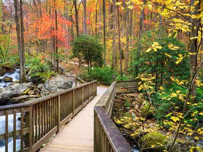 Anna Ruby Falls