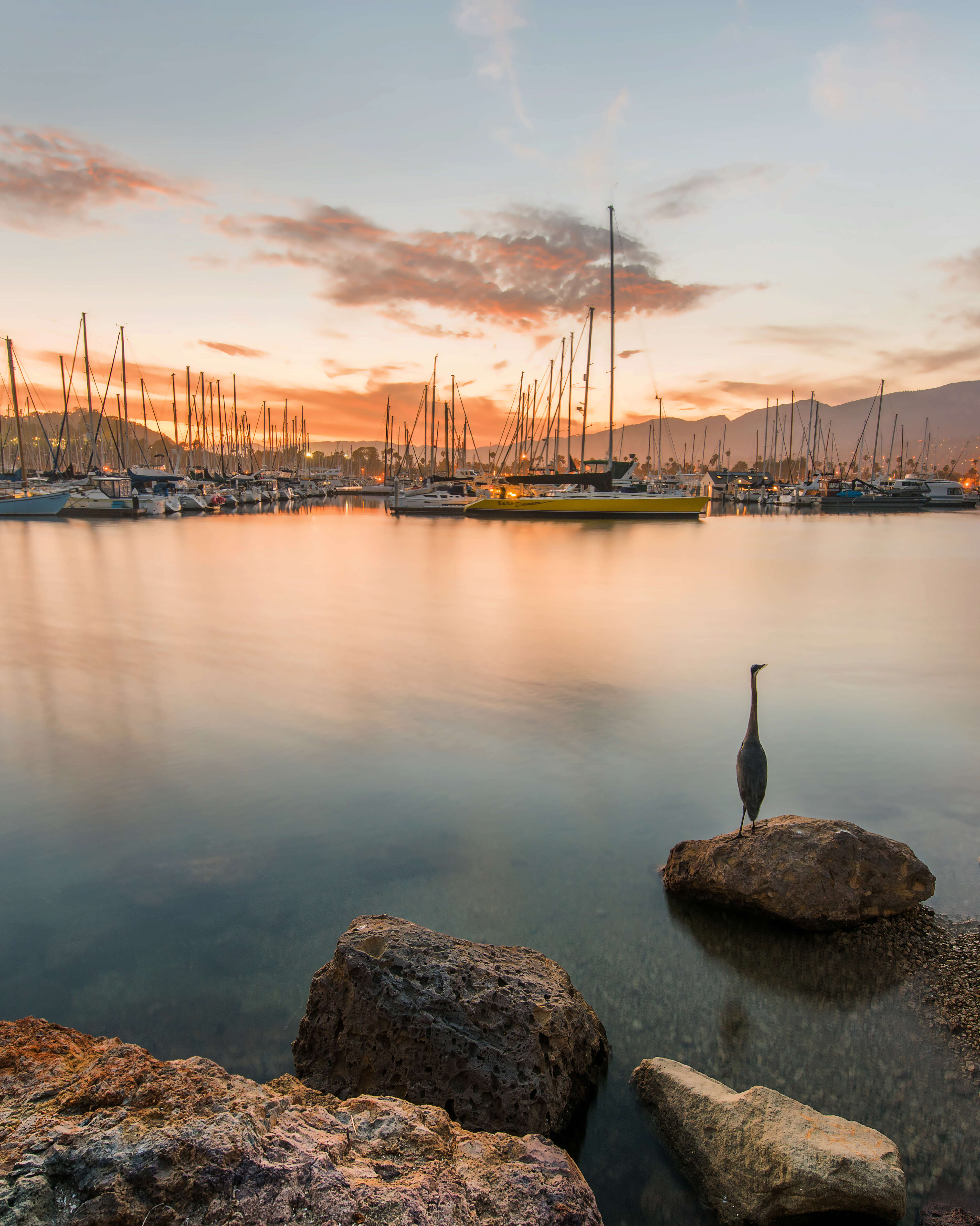 harbor at sunset