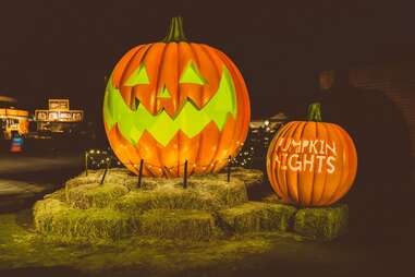 Pumpkin Nights