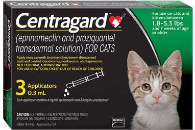 do cats really need heartworm prevention