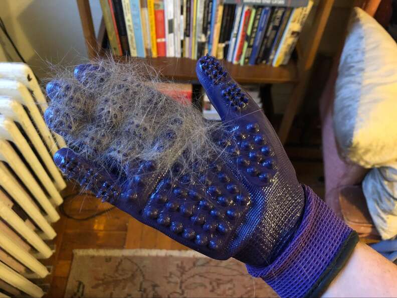 handson grooming gloves