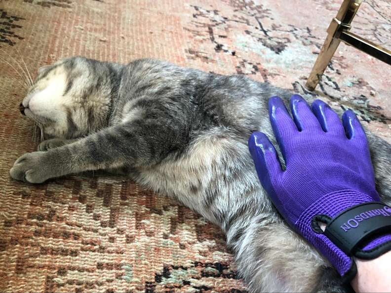 Pet Grooming Glove review