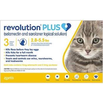 Best heartworm outlet and flea medicine