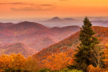 a mountain range covered in colorful fall trees