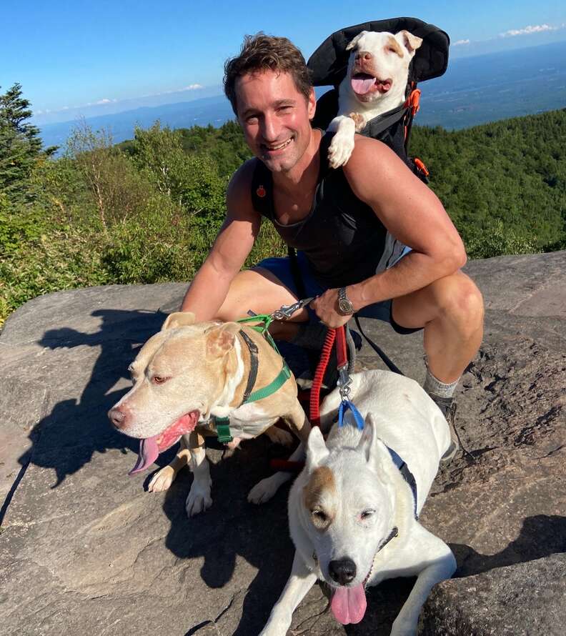 Dog going on a hike in the Little Chonk backpack