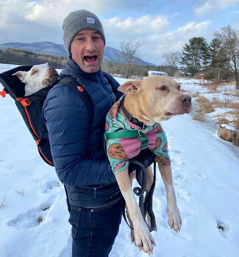 Dogs on a hike with the Little Chonk