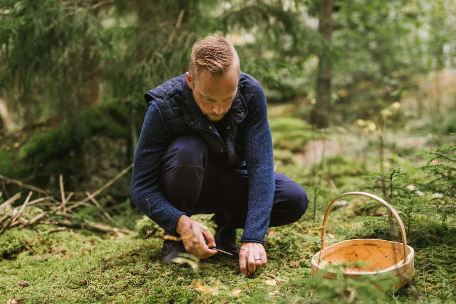Harvest Edible Plants & Mushrooms with These Amazing Workshops Around the World