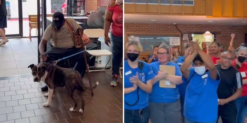 dog stares back at people cheering 