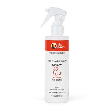 Dog md best sale anti itch spray