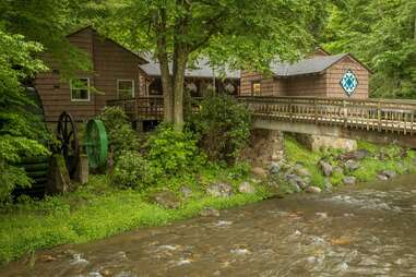 Roan Mountain State Park