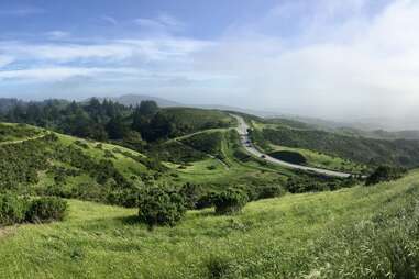 Windy Hill Open Space Preserve