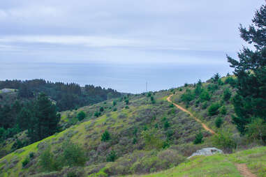 Dipsea Trail