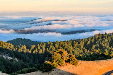 Mount Tamalpais