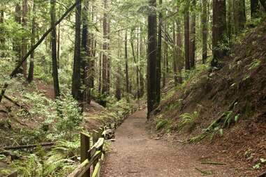 Reinhardt Redwood Regional Park