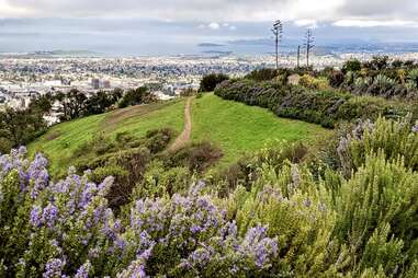 Claremont Canyon Regional Preserve