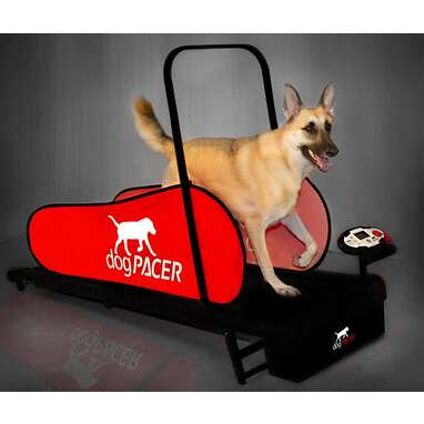 Dog Treadmill for Large Dogs Self Propelled, Doggy Treadmill, Dog Treadmill  for Medium Dogs, Pet Running Machine for Small & Medium Dogs Exercise