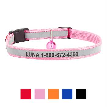 Kitten Collars 6 Best Options For Your Tiny BFF DodoWell The Dodo