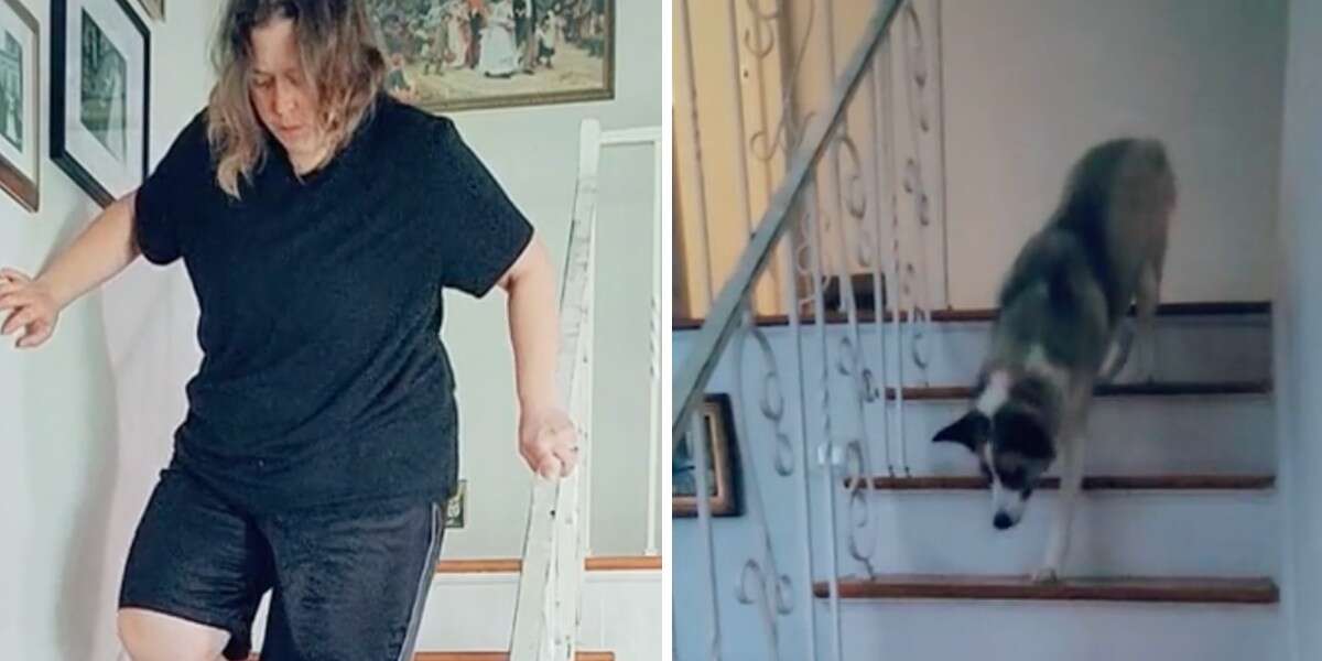 Rico The Rescue Dog Insists On Limping Down Stairs After Mom Breaks Her