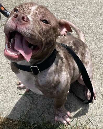 Piggy smiles because her skin is feeling better.