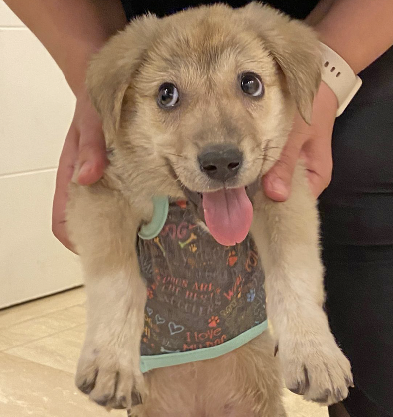A service member holds Griffon up for the camera.
