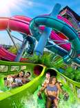 The Ultimate Guide to Florida’s Top Theme Parks