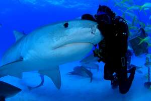 man embracing a shark under water