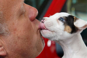 a dog licking a firefighter