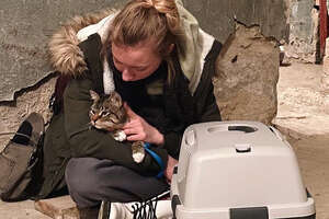 a girl holding a cat in Ukraine