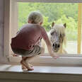 horse at a little boys window