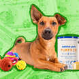 pet parent money diaries 