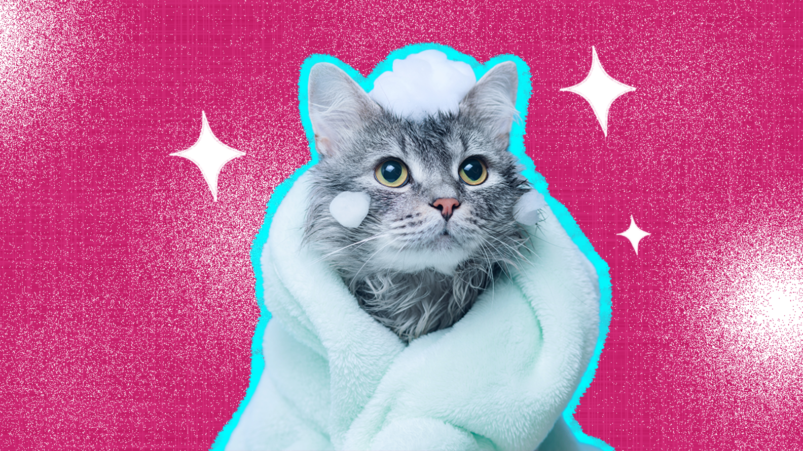 Cat Dandruff The Best Ways To Treat This Skin Condition, According To