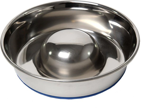 Slow Feeder Dog Bowl: The 6 Best Puzzle Bowls To Make Mealtime More  Relaxing - DodoWell - The Dodo