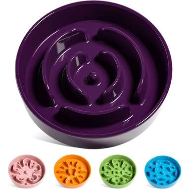 9 Best Slow Feeder Dog Bowls and Puzzles