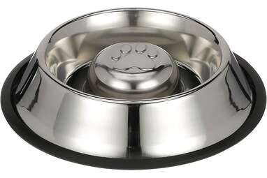 Slow Feeder Dog Bowl: The 6 Best Puzzle Bowls To Make Mealtime More  Relaxing - DodoWell - The Dodo