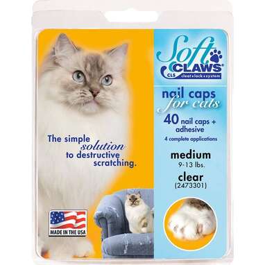 Best overall cat nail caps: Soft Claws Cat Nail Caps