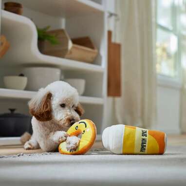 A “yummy” toy for your little pumpkin: Pumpkin Pie Latte & Donut Plush Squeaky Dog Toy 