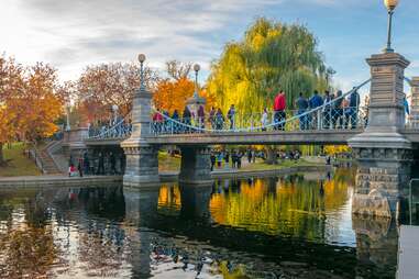 Boston Public Garden