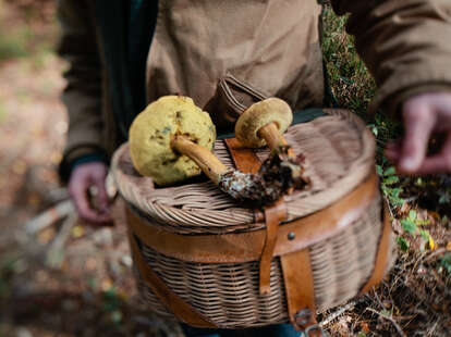 mushrooms on basket