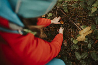how to forage