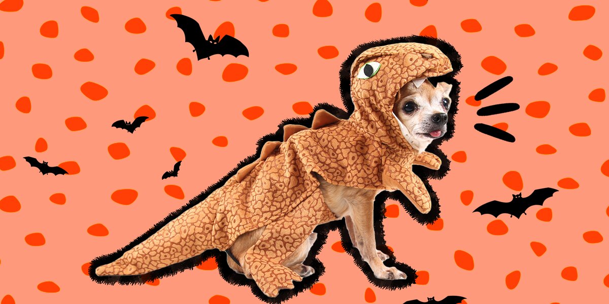 T rex shop dog costume