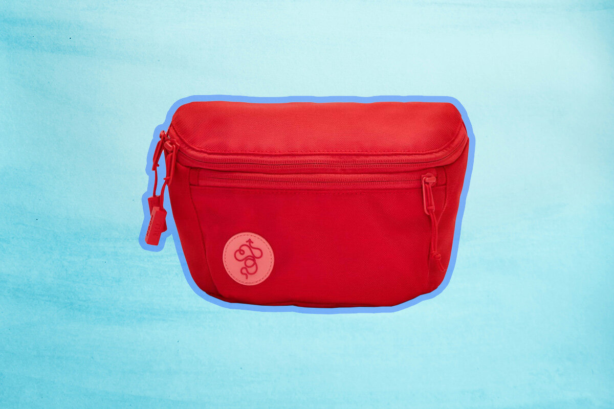 Baboon to the Moon Fanny Pack