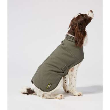 To match your favorite canvas jacket: L.L. Bean Reversible Field Coat for Dogs