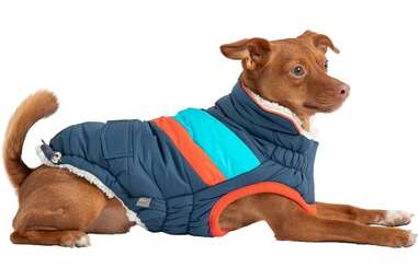 For retro fanatics: GF Pet Alpine Puffer Dog Coat